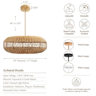 Elena Globe Pendant Light