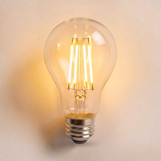 A19 Warm White LED Light Bulb E26/2700K/7W