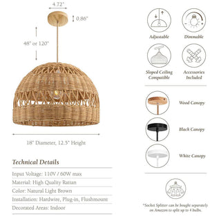 Radiant Rattan Pendant Light